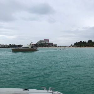 Meet your Posher, Loren